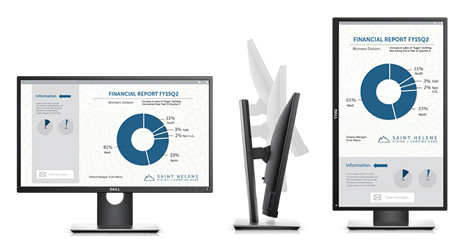 Dell P2317H