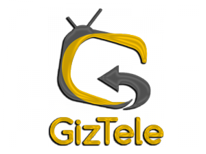 Giztele Gold Award