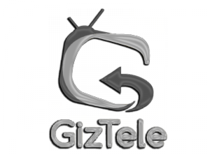 Giztele Silver Award