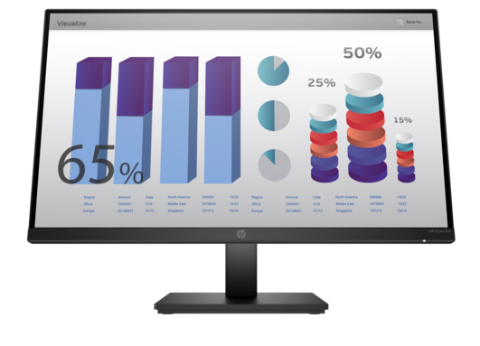 HP ProDisplay P24Q G4 