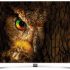 Samsung UE75JU7000, ¿aún buscas un televisor 3D?
