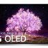 LG OLED55G1, diseñado especialmente para cumplir tus necesidades