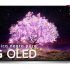 LG OLED48C1, el mejor televisor OLED para gamers y cinéfilos