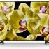 Sharp y NHK lanzan la primera pantalla enrollable OLED 4K