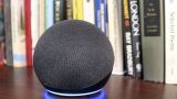 Algunos juegos de Alexa que te sacarán de un apuro