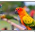 LG 32LH590U, televisor con TDT2 y Dual Core